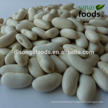 Lima Beans/White Kidney Bean New Corp